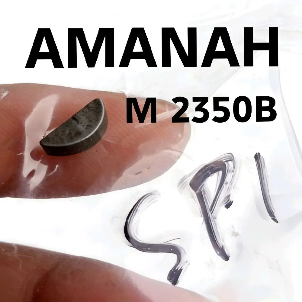 SPI gerinda modern M2350B makita N9500 Hitachi G10SB1 1 pcs