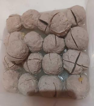 Product Review of Sinar Bahari 10 Butir Baso Sedang Kering mamang dede from I**a D**n 3