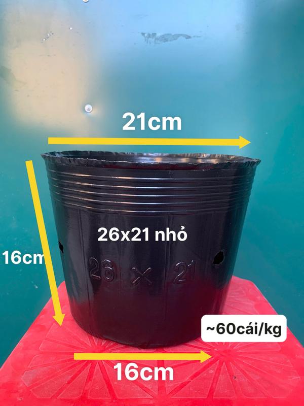 Bầu ươm cây- túi bầu ươm cây miệng 21cm và miệng 23
