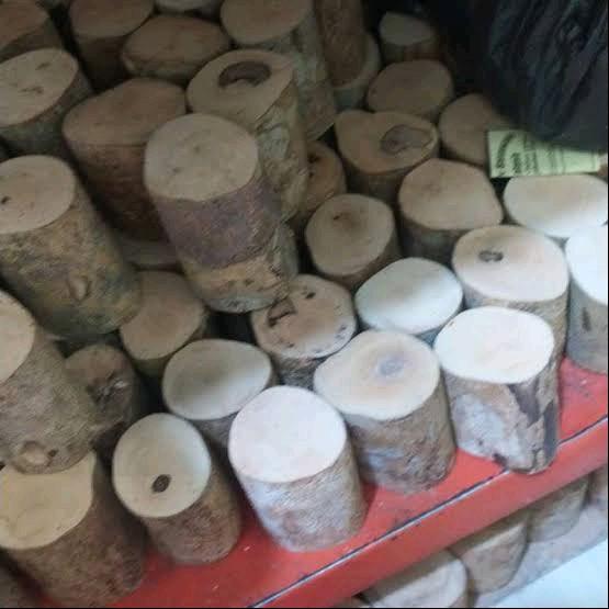 1000 gram kayu songga, kayu ular papua, kayu herbal, gelas songga, obat malaria, obat tradisional 3