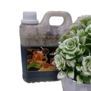 HELBEEHH, 1 kg MADU dan HABBATUSSAUDAK BIJI HULBAH ADAS DAN JAHE Alami ORGANIK