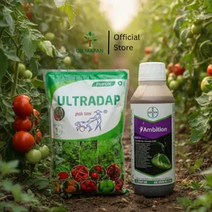 Paket Ambition 500ml dan Ultradap 1 kg Paket Pupuk Pertumbuhan Tanaman