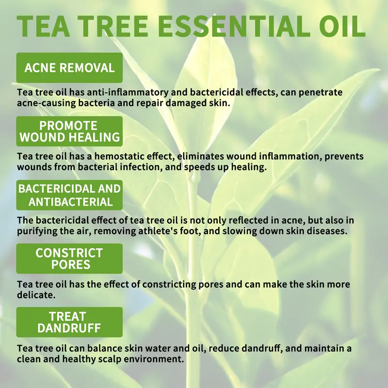 Tea Tree Oil memperbaiki rambut, melembabkan kulit wajah, menghidrasi dan memperbaiki jamur kuku Perawatan Teh Tetes Essence Kering Memutihkan Melembutkan Berminyak Memudarkan Muka 4