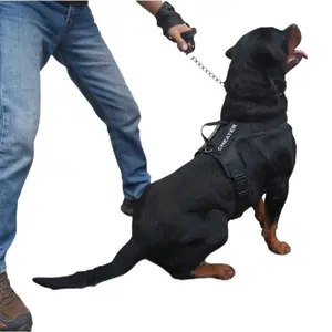 Rompi Anjing Harness Anjing Model X Hitam Bisa Request nama