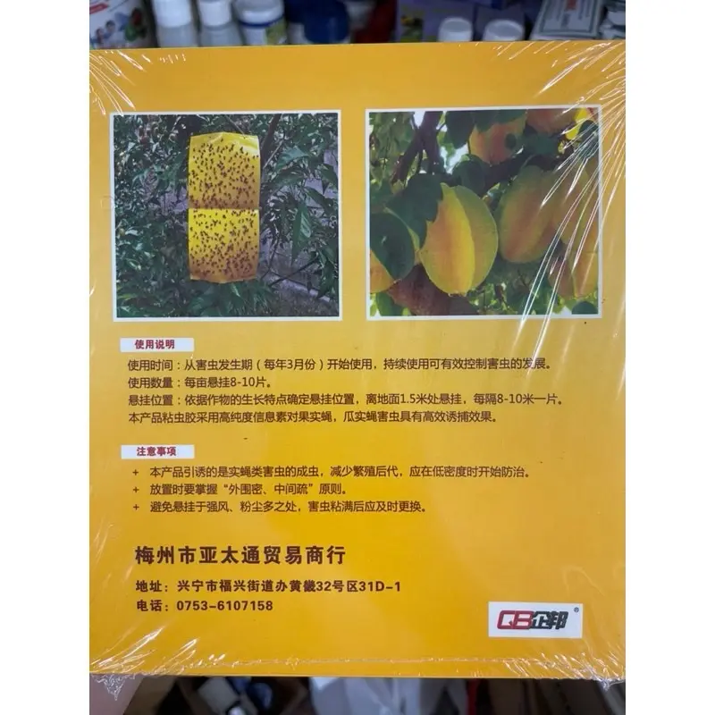 10 tấm dính ruoi vàng đục trái trên cây ăn quả 1