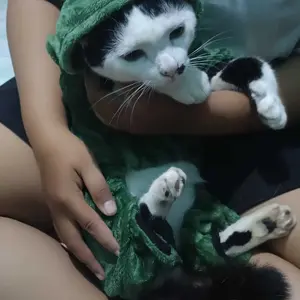 baju dinosaurus - baju hoodie pakaian hewan kucing anjing baju kucing baju anjing baju  kucing