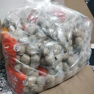 paket Bakso 1 ball eko50 premium Frozen