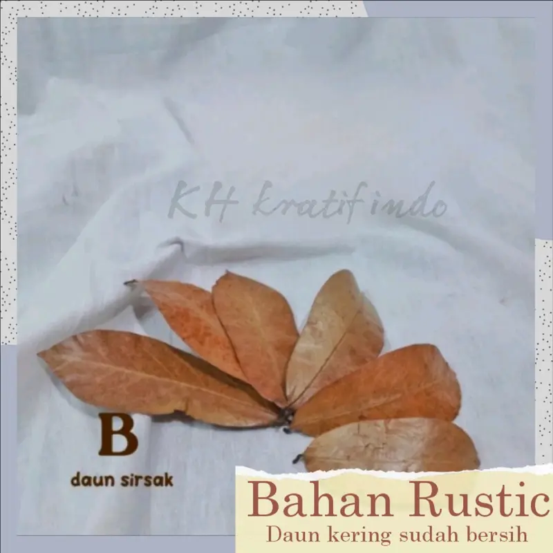 Bahan prakarya kerajinan dan kesenian / Rustic Daun kering bersih / seni keindahan / keterampilan / rustic kesenian yang indah / bahan dasar daun kering Hiasan 2