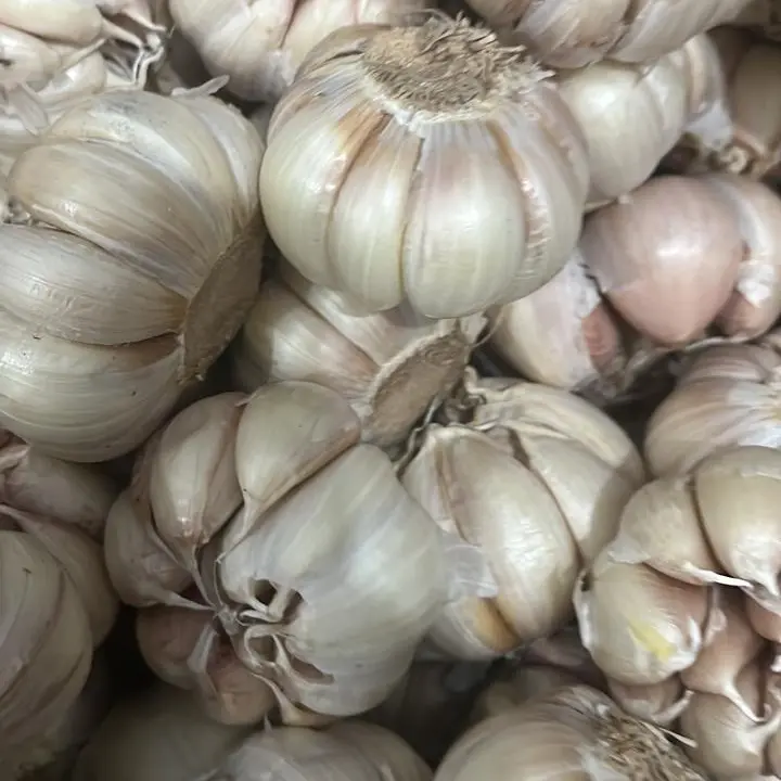 Bawang Putih 500gr 1/2kg Baput BP Bersih Banci Honan Fresh Garlic - Loka Pangan 2