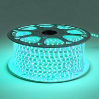 Jual Lampu Strip Led Blue Ice 10.000K/selang led neonflex ice blue 2835 ...