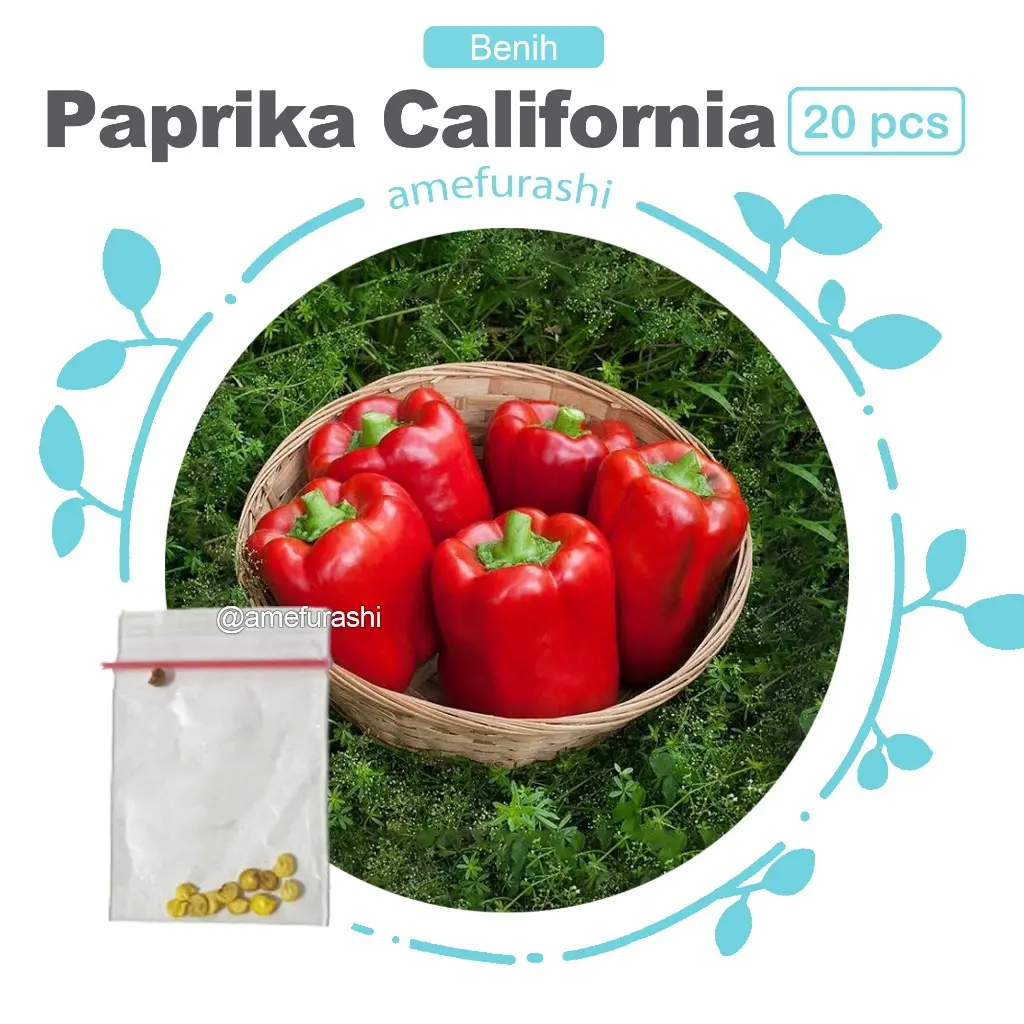 Paprika California 20 Biji