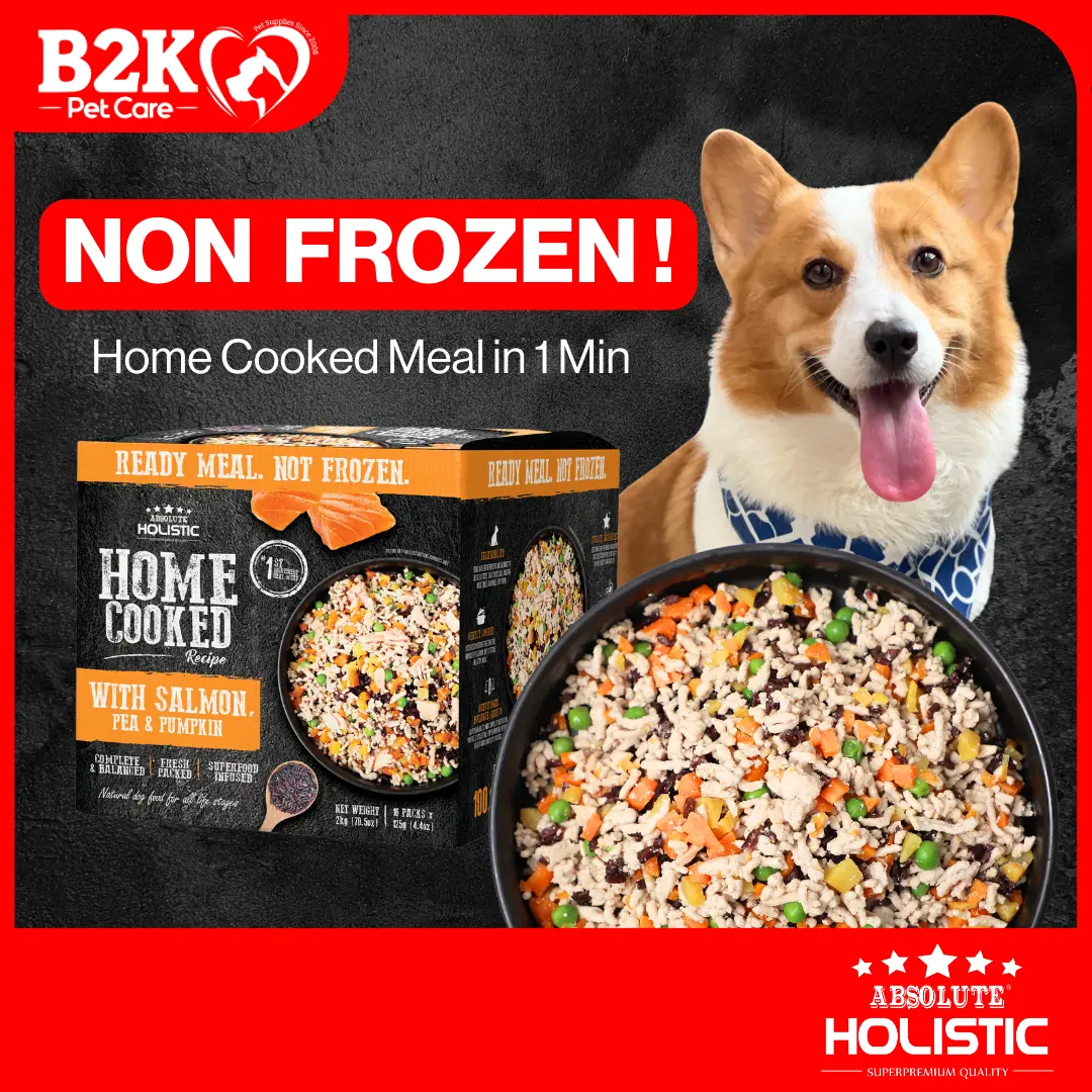 Absolute Holistic Home Cooked Style Recipe Gently Cooked Dog Food (125g x3 / 2kg)