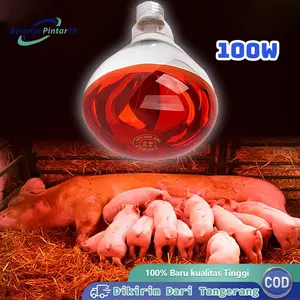 100W Lampu Penghangat Hewan Lampu Pemanas Infrared untuk Anak Ayam Kambing Babi Sapi