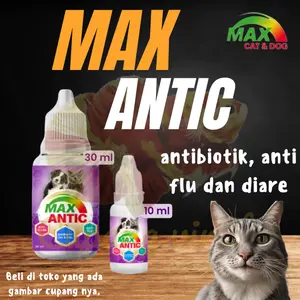 Antibiotik Kucing Mempercepat Penyembuhan Mencegah Infeksi MAX ANTIC