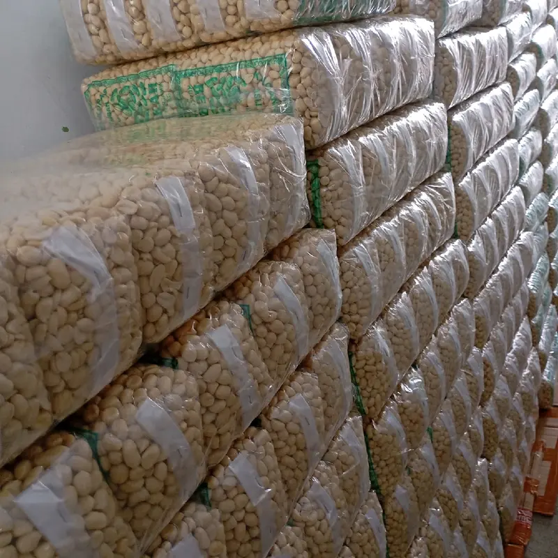(1kg) KACANG KUPAS TUBAN ASLI KACANG BERUKURAN kecil BERKAH Food Mete 5