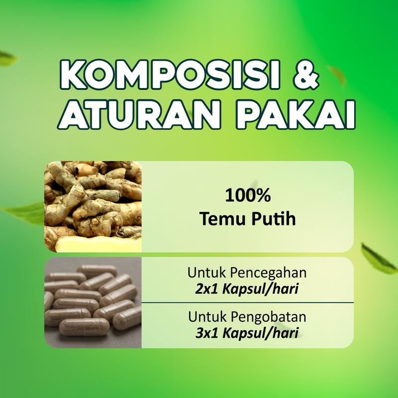 Kapsul Herbal Temu Putih/Curcuma Zedoaria 60 kapsul original 1