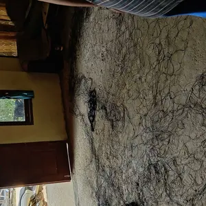 PROMO COD JARING 4MX20M Volley TALI 1.5MM UNTUK LAPANGAN BOLA VOLY/FUTSAL/SEPAK BOLA/DAN PAGAR HALAMAN Voli Outdoor