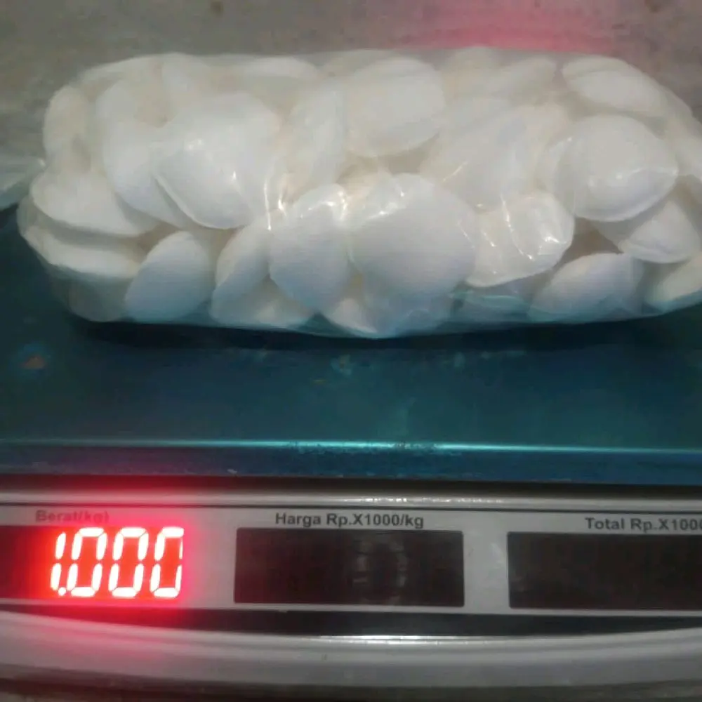 JUAL INSEKTISIDA CAMPHOR PTS 1 KG /PUT TASS SEPUH EMAS / PORT ASS PENGENDALI HAMA RAMAH LINGKUNGAN ECO FRIENDLY