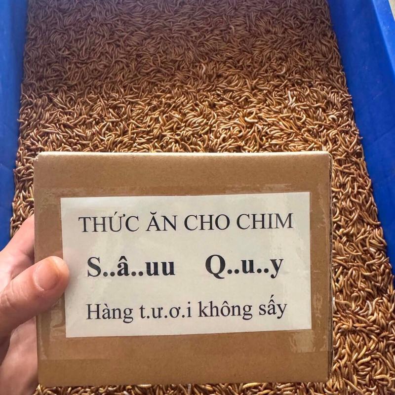 thức ăn chim cảnh . hộp 100g s.â,,,u q.u.y không sấy . còn kh...o.ẻ