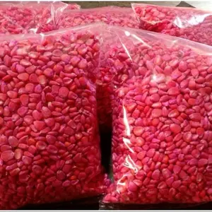 Benih Jagung Sumo NK 7328 1kg - Cocok Untuk Menanam di Rumah