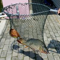 Gambar Essen Umpan Mancing Ikan Mas Indukan Aroma Durian Kweni Special Paling Gacor Boostrike - 15 ML dari ESSEN BOOSTRIKE_NEW Kota Tasikmalaya 2 Tokopedia