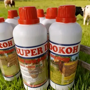 Super Dokoh Plus - Produk Berkualitas Tinggi untuk Meningkatkan Nafsu Makan Hewan Ternak Sapi Kambing dan Domba