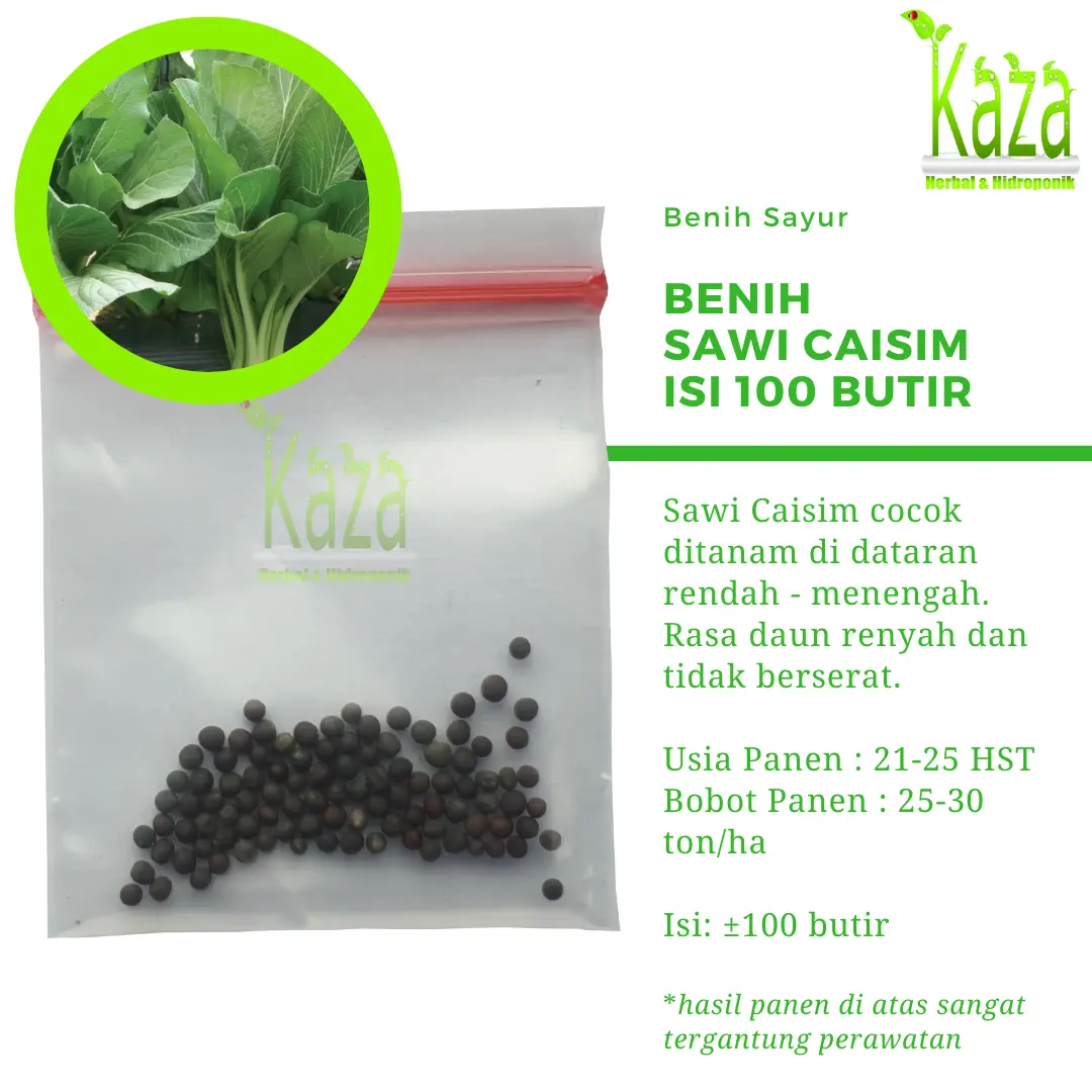 Benih Sawi Caisim Isi 100 butir