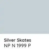 N 1999P SILVER SKATES