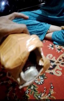 Product Review of alat berkebun ke ladang serbaguna serba ada from S**i 1