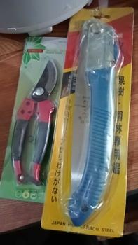 Product Review of paket alat berkebun 2 in 1 gergaji lipat dan gunting dahan from A**h A**n 0