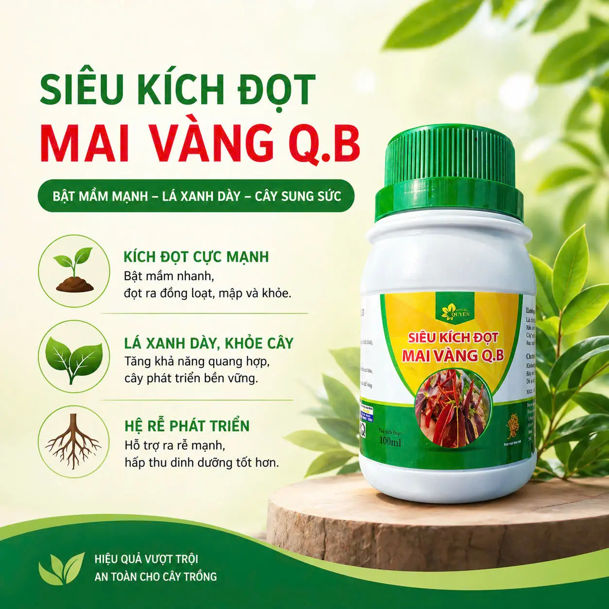 Phân bón lá - Kích chồi, vọt đọt Q.B - vườn mai Quyên