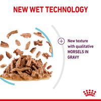 Gambar Royal Canin Sensory Feel Gravy (85g x 12) Wet Makanan Kucing Dewasa - Feline Health Nutrition dari Royal Canin Indonesia Kota Administrasi Jakarta Timur 4 Tokopedia