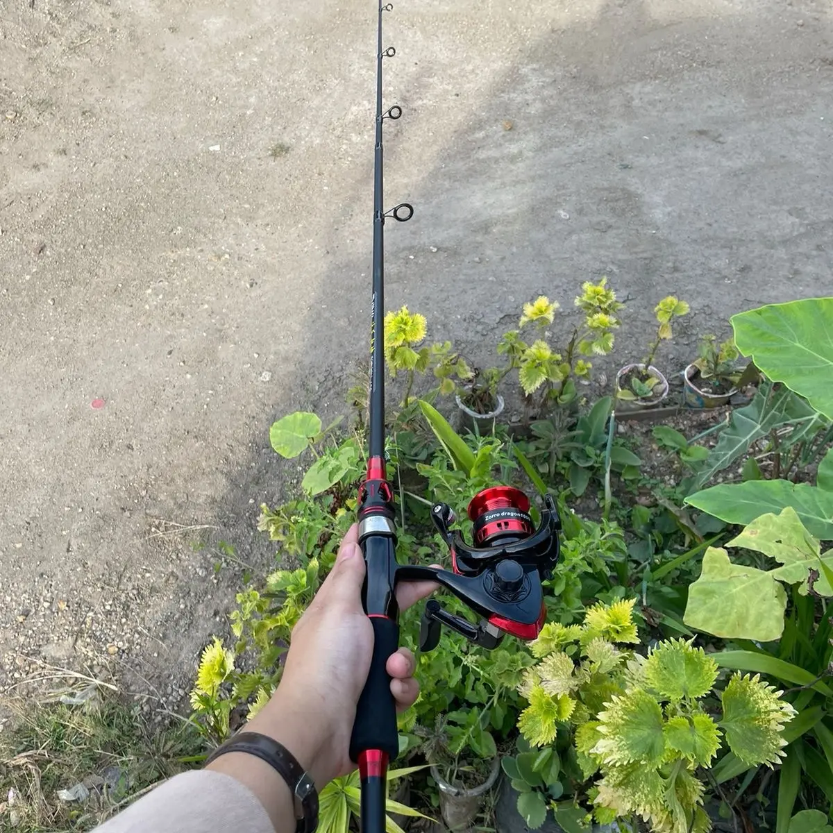 One set spining joran daiwa & dragon