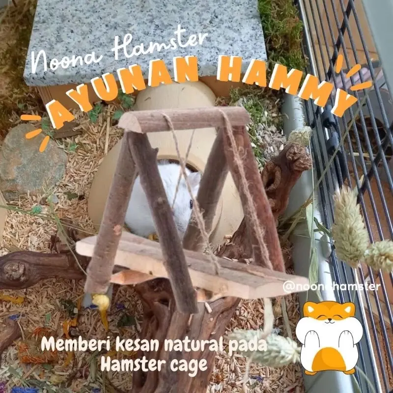 MAINAN AYUNAN HAMSTER DARI KAYU SOLID ALAMI