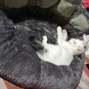 KASUR KUCING DAN ANJING BAD KAKI JUMBO 45X45CM