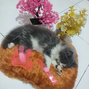 Sikat mandi pijat kucing anjing