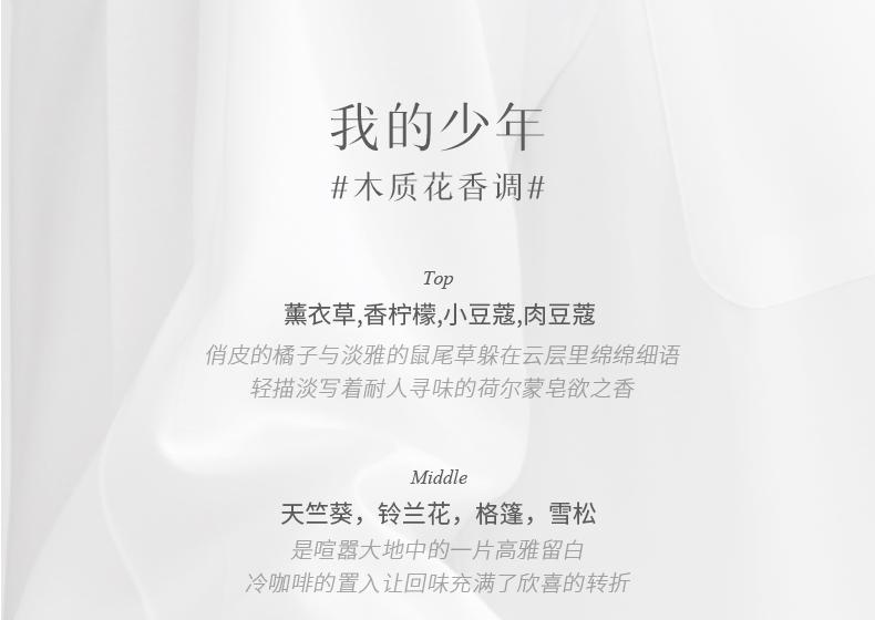 Product Introduction of DearIrean Fragrance Plaster Hanging 10