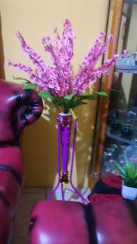 Product Review of bunga hias bunga pojok sakura mihua k 14 set pot besi BUNGA PELASTIK from n**a 1