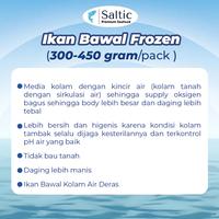 Gambar Ikan Bawal Frozen berasal dari Kolam Air Deras (300-450 gr) - SALTIC dari BELANJA SEGAR Kota Administrasi Jakarta Utara 2 Tokopedia