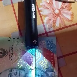 Senter UV Detektor Uang Urin Jamur Hewan Pet Money Lampu Ultraviolet Detector 365nm USB Rechargeable