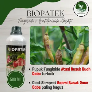 COD BIOPATEK 500 ML FUNGISIDA ATASI PENYAKIT BUSUK BUAH CABE PALING AMPUH - OBAT SEMPROT PEMBASMI PENYAKIT BUSUK BUAH CABE RAWIT PALING BAGUS