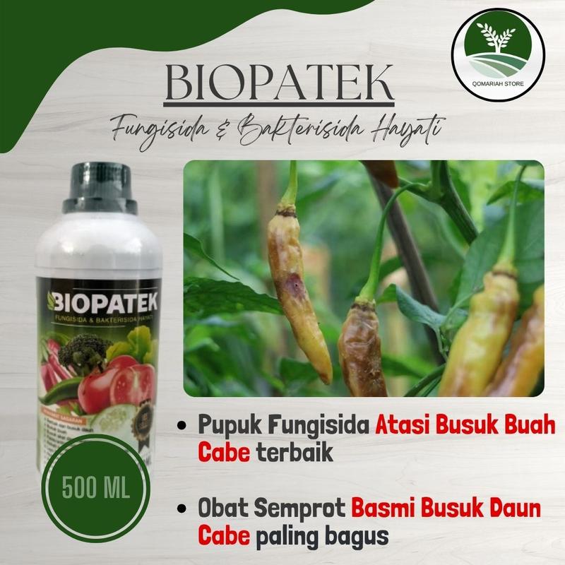 COD BIOPATEK 500 ML FUNGISIDA ATASI PENYAKIT BUSUK BUAH CABE PALING AMPUH - OBAT SEMPROT PEMBASMI PENYAKIT BUSUK BUAH CABE RAWIT PALING BAGUS 1