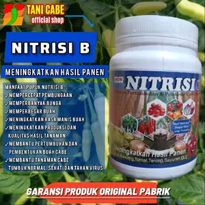 Nitrisi b pupuk NUTRISI Buah pupuk -500 GRAM