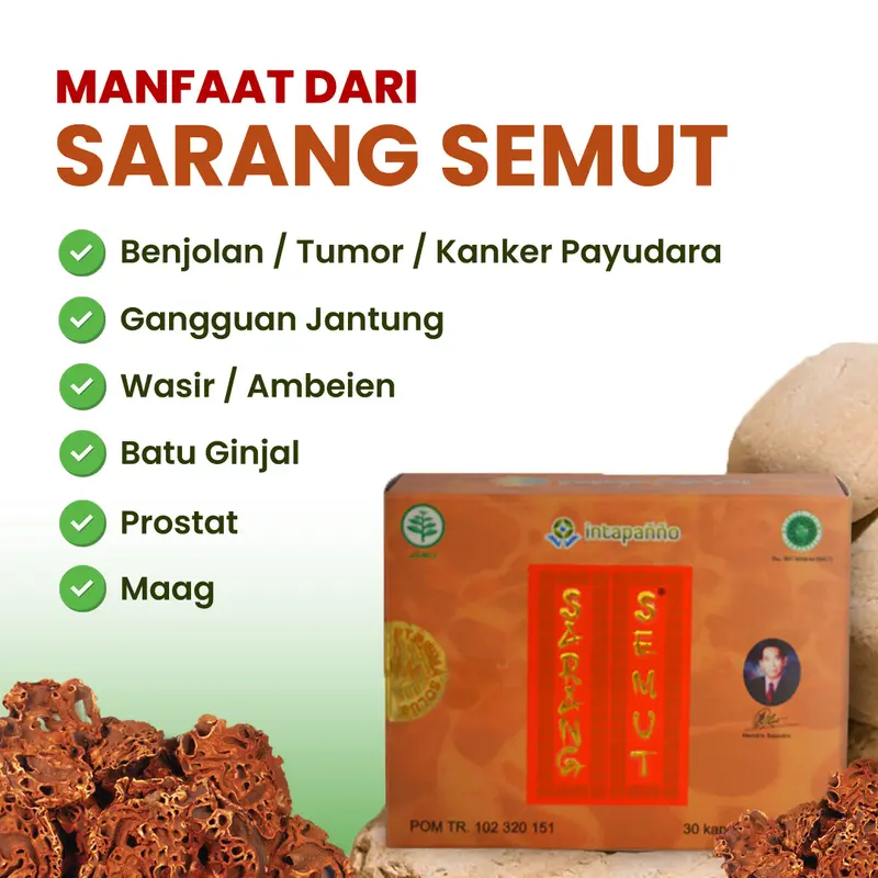 SARANG SEMUT - HERBAL TUMOR KANKER WASIR MAAG PROSTAT 10 KAPSUL 1