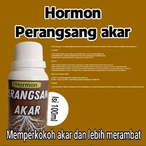 hormon perangsang akar dan penuh nutrisi