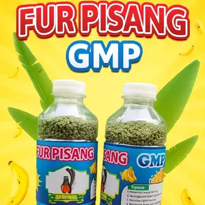 Fur Pisang GMP super power