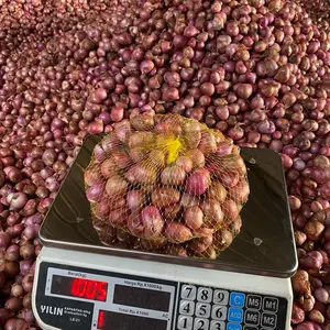 Bawang Merah Sulawesi Super