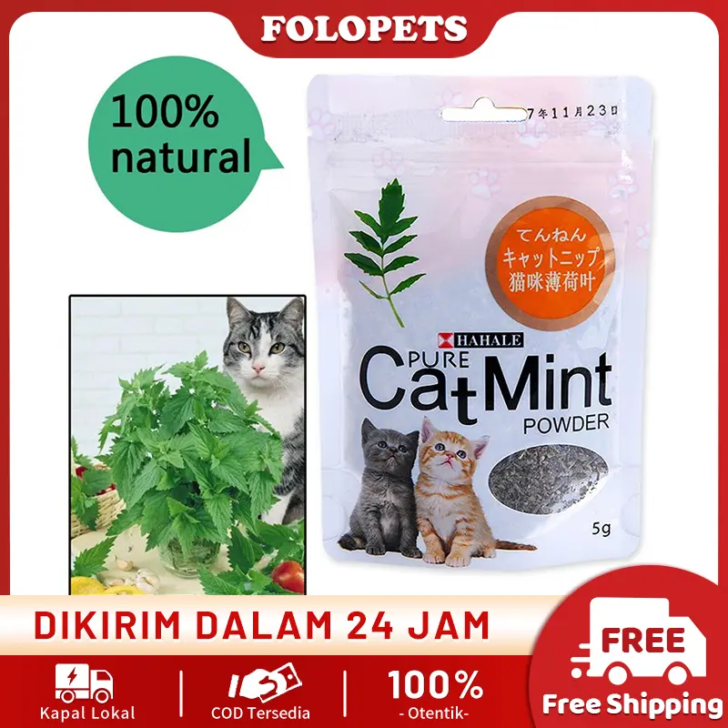 FOLOPETS Mainan Kucing Obat Catmint Penenang Serbuk Rumput Kering Cat nip Mint Stres Murah 0