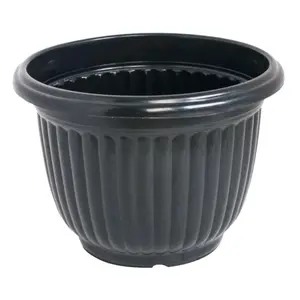 pot untuk untuk 3 tanaman berbuah