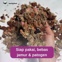 Gambar Workplant - Orchid Soil Mix Media Tanam Anggrek Premium Porous Anti Busuk Akar Untuk Semua Jenis Tanaman Hias Anggrek - 3 Liter dari workplant official Kota Surabaya 5 Tokopedia
